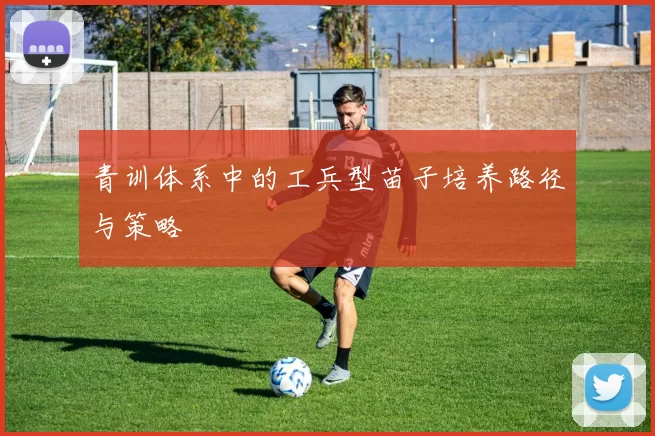 青训体系中的工兵型苗子培养路径与策略